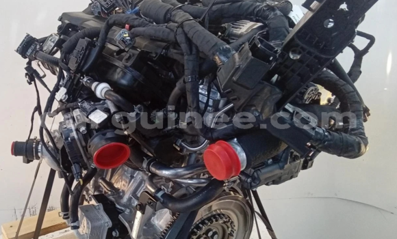 Medium with watermark s l16002