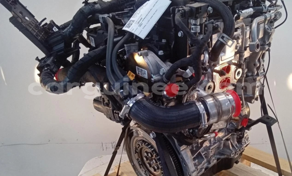 Acheter 2021 KIA SPORTAGE 1.6L à Conakry, Conakry Acheter 2021 KIA SPORTAGE 1.6L à Conakry, Conakry