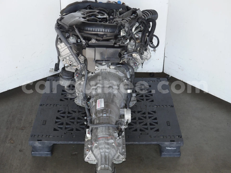 Big with watermark image h