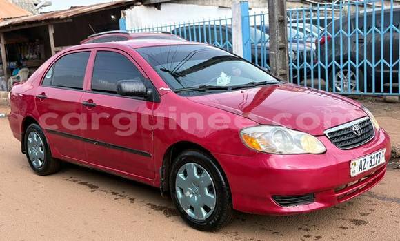 Acheter Occasion Voiture Toyota Corolla Rouge à Conakry, Conakry Acheter Occasion Voiture Toyota Corolla Rouge à Conakry, Conakry