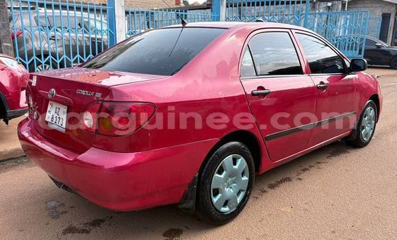 Acheter Occasion Voiture Toyota Corolla Rouge à Conakry, Conakry Acheter Occasion Voiture Toyota Corolla Rouge à Conakry, Conakry