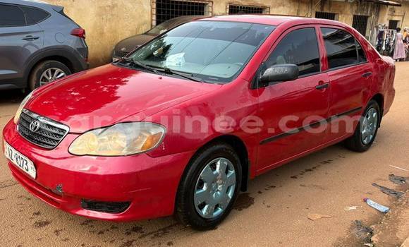 Acheter Occasion Voiture Toyota Corolla Rouge à Conakry, Conakry Acheter Occasion Voiture Toyota Corolla Rouge à Conakry, Conakry