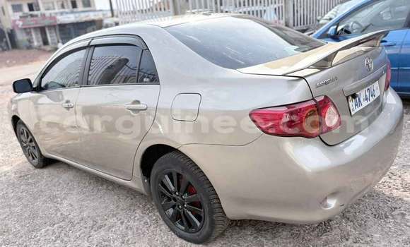 Acheter Occasion Voiture Toyota Corolla Gris à Conakry, Conakry Acheter Occasion Voiture Toyota Corolla Gris à Conakry, Conakry