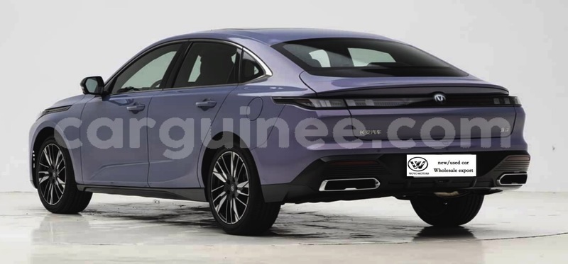 Big with watermark changan eado coyah coyah 10677