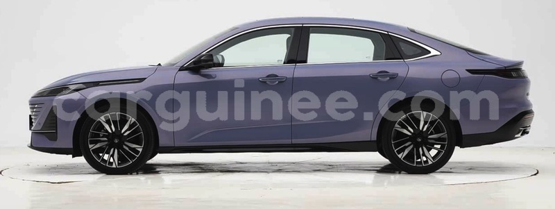 Big with watermark changan eado coyah coyah 10677