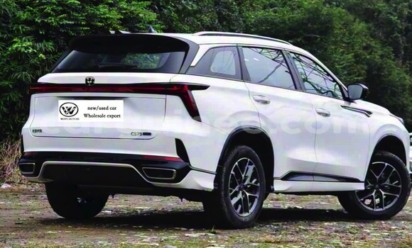 Acheter Occasion Voiture Changan CS75 Blanc à Coyah, Coyah Acheter Occasion Voiture Changan CS75 Blanc à Coyah, Coyah