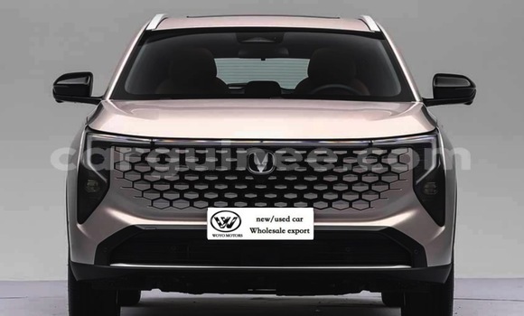 Acheter Occasion Voiture Changan CS55 Other à Conakry, Conakry