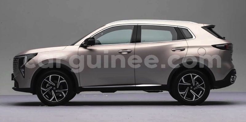 Big with watermark changan cs55 conakry conakry 10679