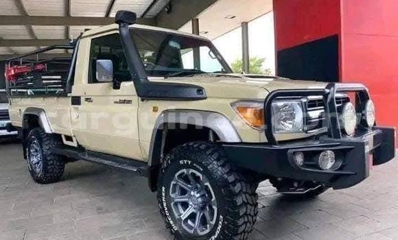 Acheter Occasion Voiture Toyota Land Cruiser Beige à Coyah, Coyah