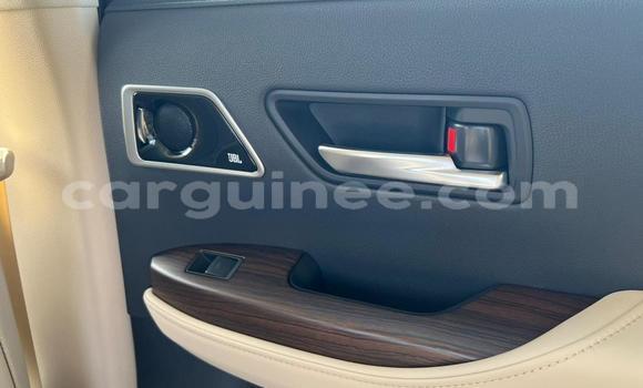 Acheter Neuf Voiture Toyota Land Cruiser Blanc à Conakry, Conakry Acheter Neuf Voiture Toyota Land Cruiser Blanc à Conakry, Conakry