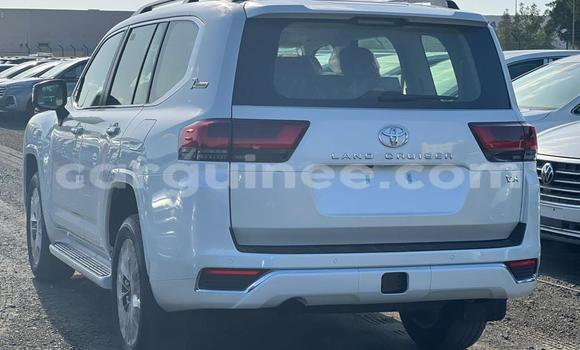 Acheter Neuf Voiture Toyota Land Cruiser Blanc à Conakry, Conakry Acheter Neuf Voiture Toyota Land Cruiser Blanc à Conakry, Conakry