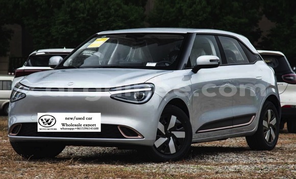 Acheter Occasion Voiture DongFeng Namni01 Blanc à Conakry, Conakry