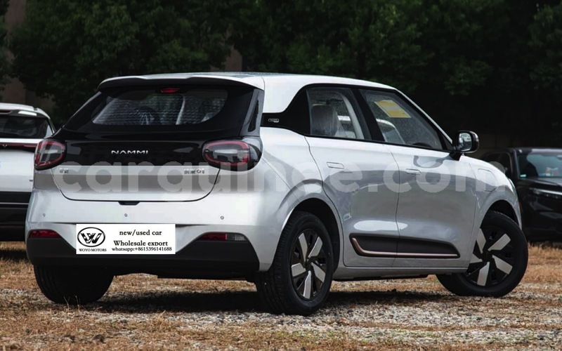 Big with watermark dongfeng namni01 conakry conakry 10790