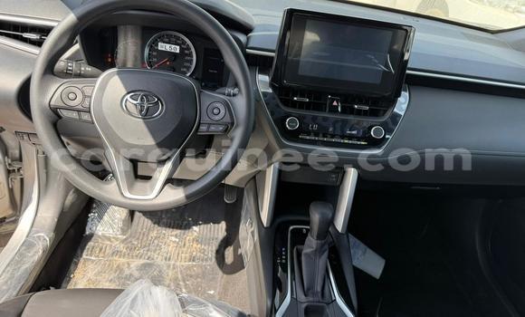 Acheter Occasion Voiture Toyota Corolla Cross Vert à Conakry, Conakry Acheter Occasion Voiture Toyota Corolla Cross Vert à Conakry, Conakry