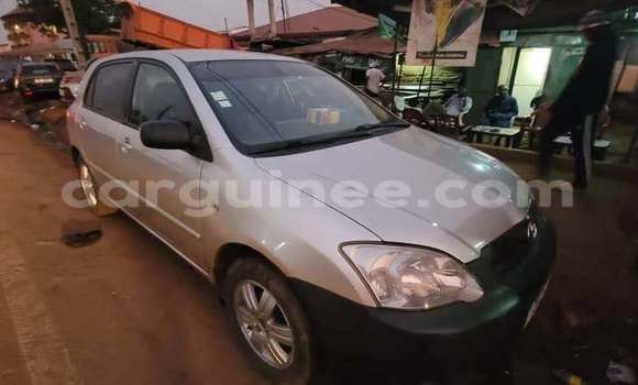 Acheter Occasion Voiture Toyota Allex Gris à Conakry, Conakry Acheter Occasion Voiture Toyota Allex Gris à Conakry, Conakry
