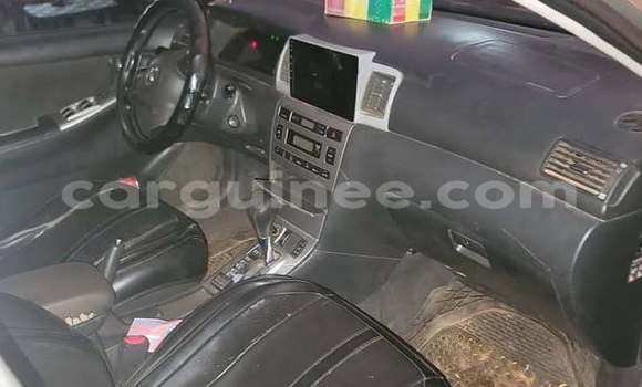 Acheter Occasion Voiture Toyota Allex Gris à Conakry, Conakry Acheter Occasion Voiture Toyota Allex Gris à Conakry, Conakry