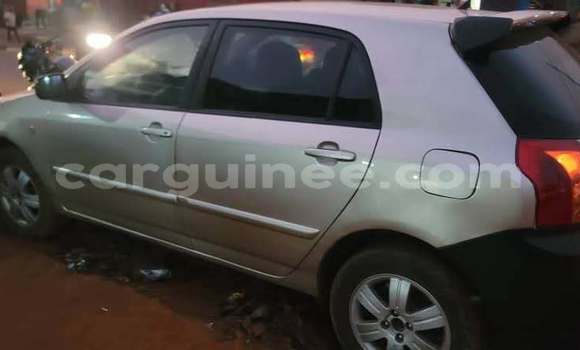 Acheter Occasion Voiture Toyota Allex Gris à Conakry, Conakry Acheter Occasion Voiture Toyota Allex Gris à Conakry, Conakry