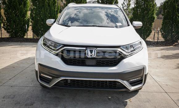 Buy Used Honda CR–V White Car in Conakry in Conakry Buy Used Honda CR–V White Car in Conakry in Conakry
