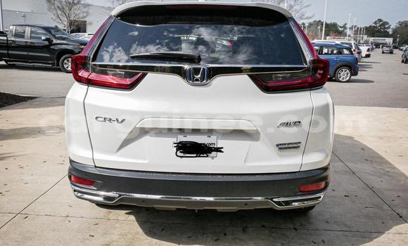 Buy Used Honda CR–V White Car in Conakry in Conakry Buy Used Honda CR–V White Car in Conakry in Conakry