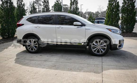 Buy Used Honda CR–V White Car in Conakry in Conakry Buy Used Honda CR–V White Car in Conakry in Conakry