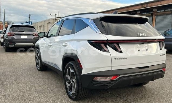 Buy Used Hyundai Tucson White Car in Conakry in Conakry Buy Used Hyundai Tucson White Car in Conakry in Conakry