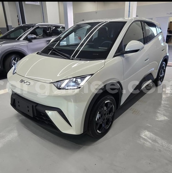 Big with watermark byd seagull conakry conakry 10874