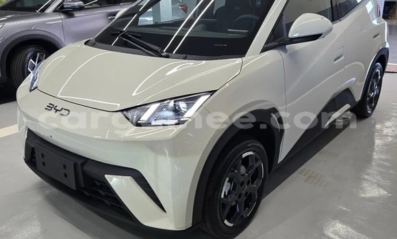 Acheter Occasion Voiture BYD Seagull Blanc à Conakry, Conakry