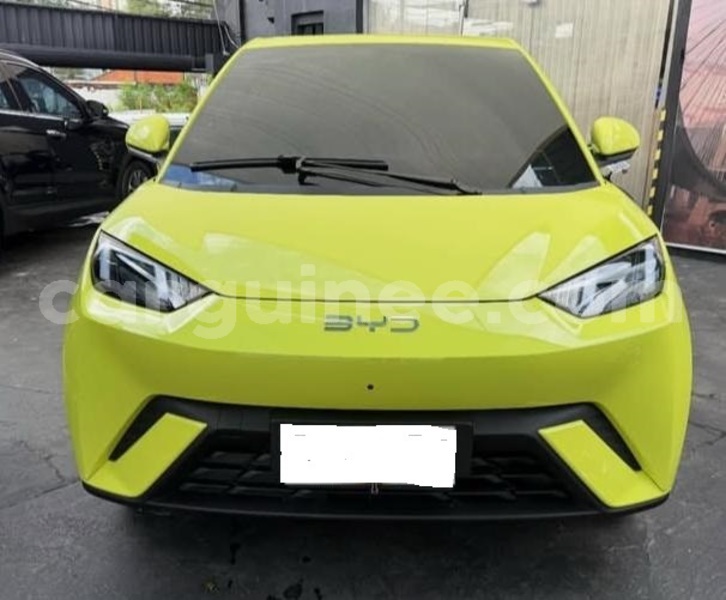 Big with watermark byd seagull conakry conakry 10874