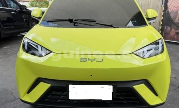 Buy Used BYD Seagull White Car in Conakry in Conakry Buy Used BYD Seagull White Car in Conakry in Conakry