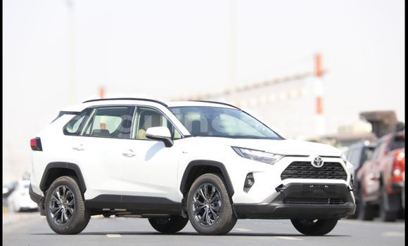 Buy New Toyota RAV4 White Car in Conakry in Conakry Buy New Toyota RAV4 White Car in Conakry in Conakry