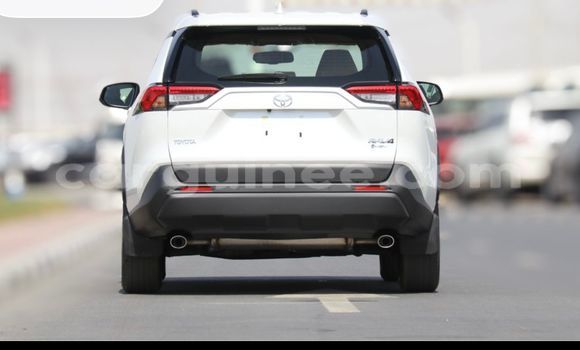 Buy New Toyota RAV4 White Car in Conakry in Conakry Buy New Toyota RAV4 White Car in Conakry in Conakry
