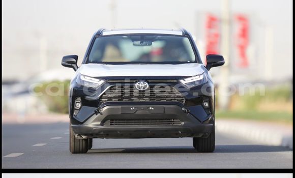 Buy New Toyota RAV4 White Car in Conakry in Conakry Buy New Toyota RAV4 White Car in Conakry in Conakry