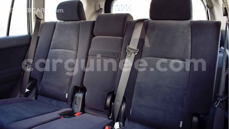 Big with watermark a3bc8f4a d752 469b 8c41 898e0fa91928