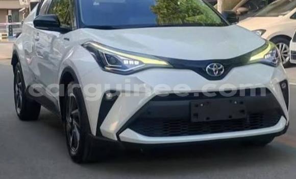 Buy Used Toyota C-HR White Car in Conakry in Conakry Buy Used Toyota C-HR White Car in Conakry in Conakry