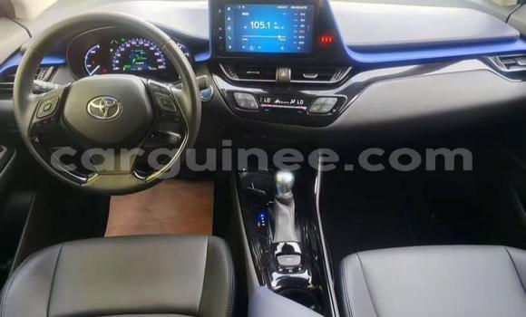 Buy Used Toyota C-HR White Car in Conakry in Conakry Buy Used Toyota C-HR White Car in Conakry in Conakry