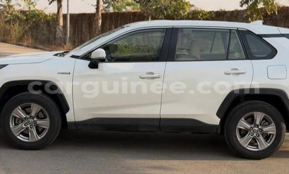 Buy Used Toyota RAV4 White Car in Conakry in Conakry Buy Used Toyota RAV4 White Car in Conakry in Conakry