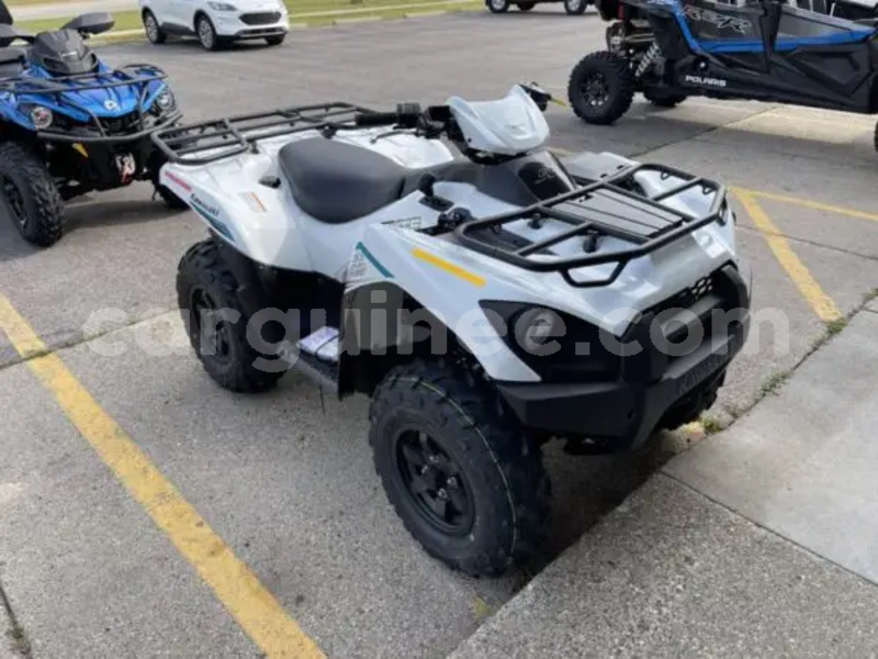 Big with watermark kawasaki brute force conakry conakry 11037