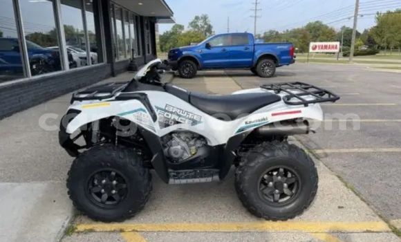 Buy New Kawasaki Brute Force White Bike in Conakry in Conakry Buy New Kawasaki Brute Force White Bike in Conakry in Conakry