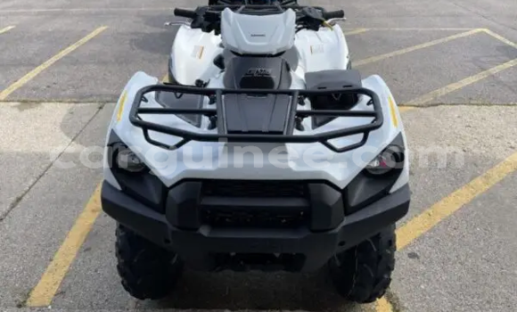 Buy New Kawasaki Brute Force White Bike in Conakry in Conakry Buy New Kawasaki Brute Force White Bike in Conakry in Conakry