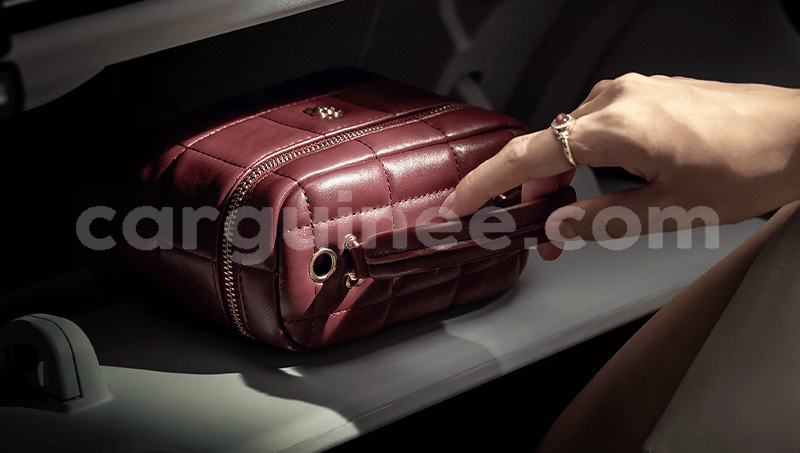 Big with watermark changan z shine labe labe 11043