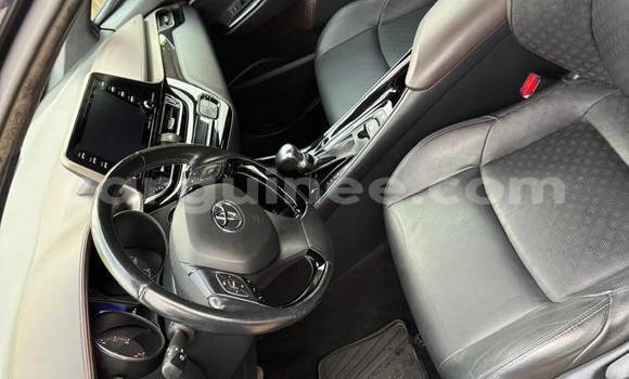 Buy Import Toyota C-HR Black Car in Conakry in Conakry Buy Import Toyota C-HR Black Car in Conakry in Conakry
