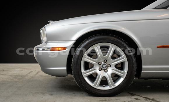 Buy Import Jaguar XJ Other Car in Conakry in Conakry Buy Import Jaguar XJ Other Car in Conakry in Conakry