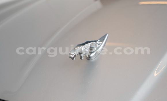 Buy Import Jaguar XJ Other Car in Conakry in Conakry Buy Import Jaguar XJ Other Car in Conakry in Conakry