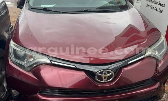 Buy Import Toyota RAV4 Other Car in Conakry in Conakry Buy Import Toyota RAV4 Other Car in Conakry in Conakry