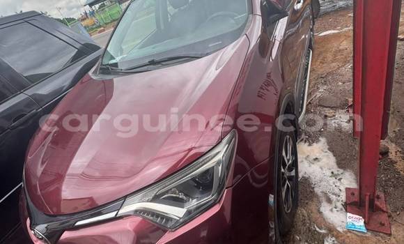 Buy Import Toyota RAV4 Other Car in Conakry in Conakry Buy Import Toyota RAV4 Other Car in Conakry in Conakry