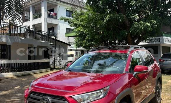 Buy Import Toyota RAV4 Red Car in Conakry in Conakry Buy Import Toyota RAV4 Red Car in Conakry in Conakry