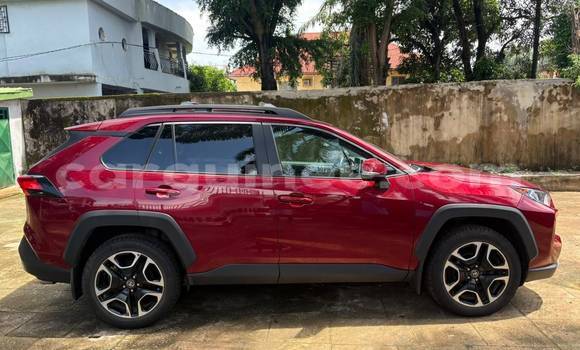 Buy Import Toyota RAV4 Red Car in Conakry in Conakry Buy Import Toyota RAV4 Red Car in Conakry in Conakry