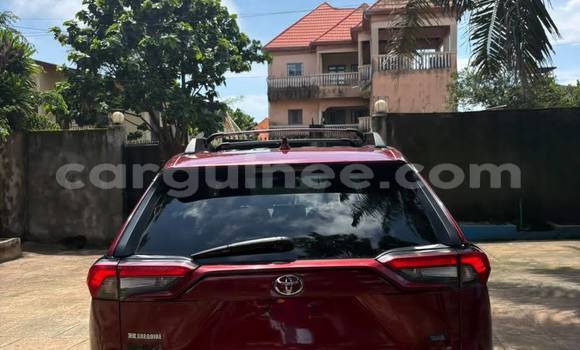 Buy Import Toyota RAV4 Red Car in Conakry in Conakry Buy Import Toyota RAV4 Red Car in Conakry in Conakry