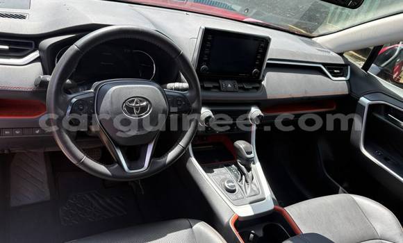 Buy Import Toyota RAV4 Red Car in Conakry in Conakry Buy Import Toyota RAV4 Red Car in Conakry in Conakry