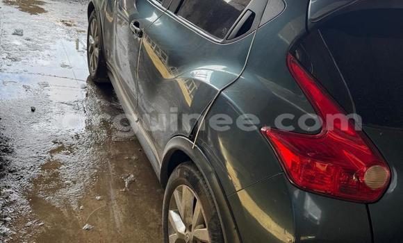Buy Used Nissan Juke Other Car in Conakry in Conakry Buy Used Nissan Juke Other Car in Conakry in Conakry